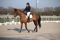 Concours Cholet - 1ère sortie pour Edesse et Justine qui promet pour la suite