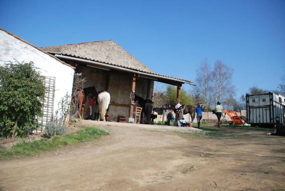 Barres d'attache