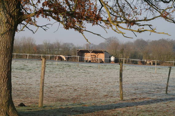 38 ha de prés