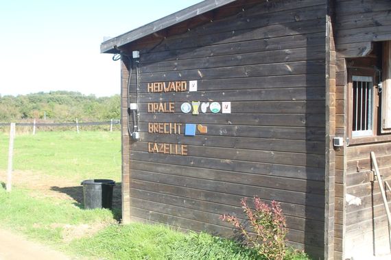 Le mur des trophées