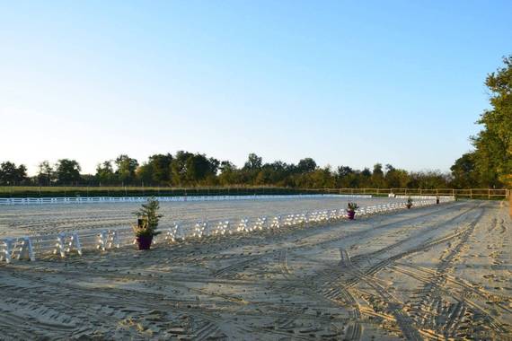Lice de dressage