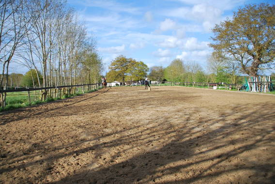 Carrière de dressage